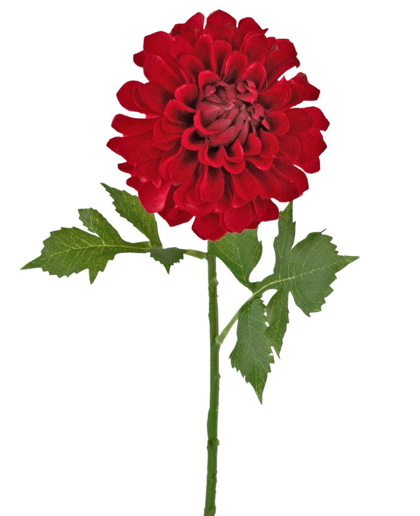 Fleur artificielle Dahlia 50 cm rouge : un seul dahlia rouge avec plusieurs couches de pétales et de feuilles vertes sur une longue tige, isolé sur fond blanc.