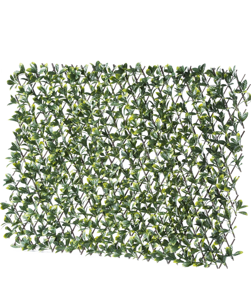 La Haie Artificielle Prunus Extensible 200x100 cm est un panneau rectangulaire de feuilles vertes artificielles sur une grille en plastique, qui donne un aspect luxuriant et dense à votre espace.