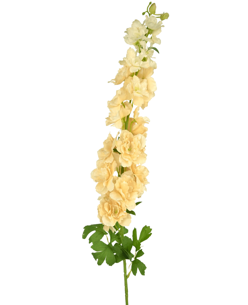 Une seule fleur artificielle Delphinium 105 cm crème avec plusieurs fleurs jaune clair et feuilles vertes, sur un fond blanc uni.