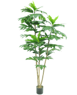 La plante artificielle Nangka 180 cm est une grande plante artificielle avec plusieurs tiges fines brunes et de grandes feuilles vertes brillantes dans un petit pot noir, représentée sur un fond blanc uni.