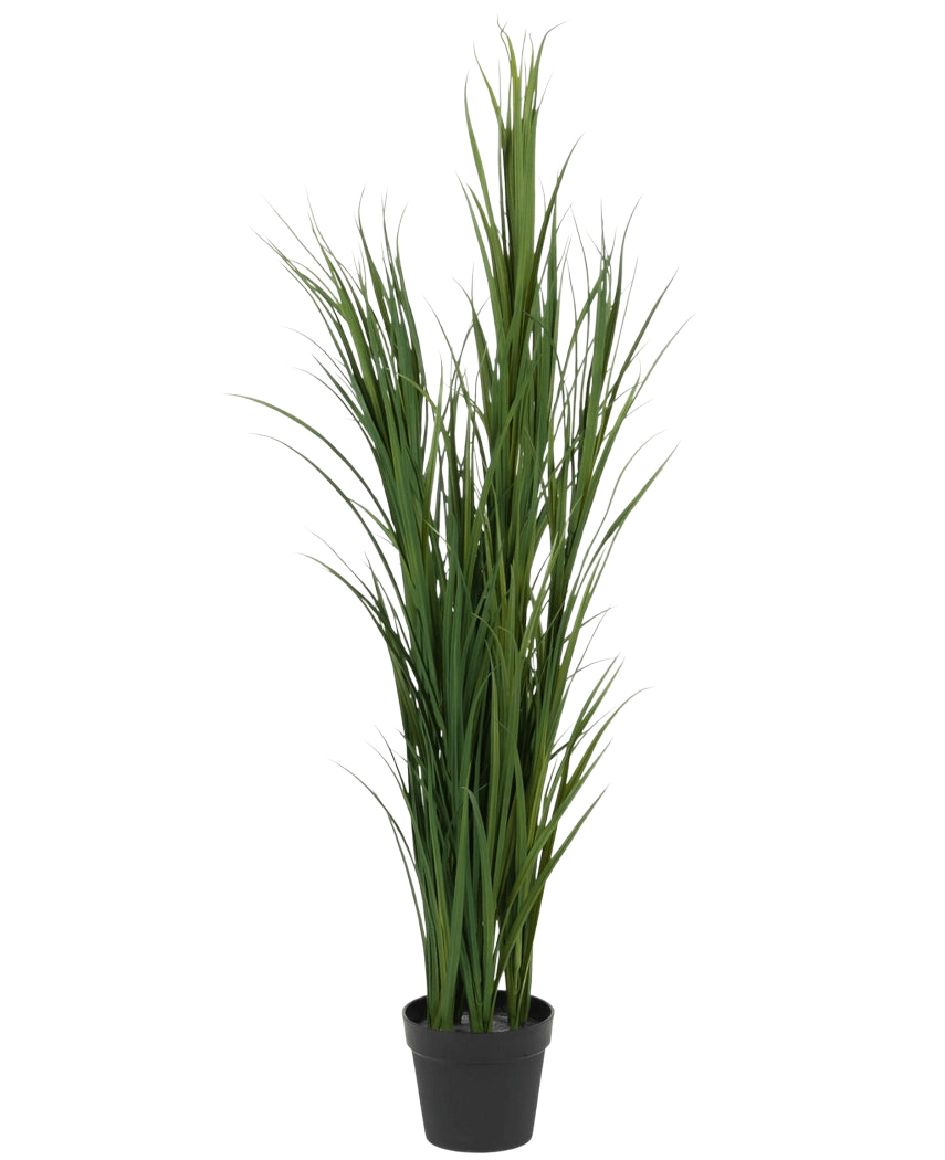 Le gazon artificiel vert UV 150 cm est un gazon artificiel de grande taille avec de longues feuilles vertes fines dans un petit pot noir, représenté sur un fond blanc uni.