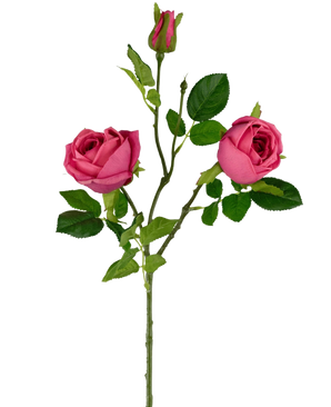 La Branche de Rose Artificielle Real Touch rose foncé 72 cm a une seule tige verte avec deux roses rose foncé en fleurs, un bouton de rose au sommet et plusieurs feuilles vertes sur un fond blanc uni.