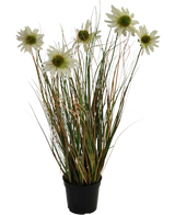 Le gazon artificiel chrysanthème oignon pot 60 cm ignifuge possède de longues et fines feuilles vertes et brunes avec plusieurs tiges hautes surmontées de fleurs blanches ressemblant à des marguerites au cœur jaune.