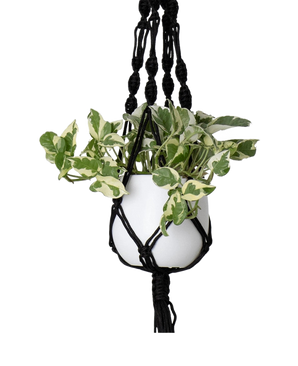 Corde à suspendre macramé simple noeud spirale noir Ø13 x H100 cm