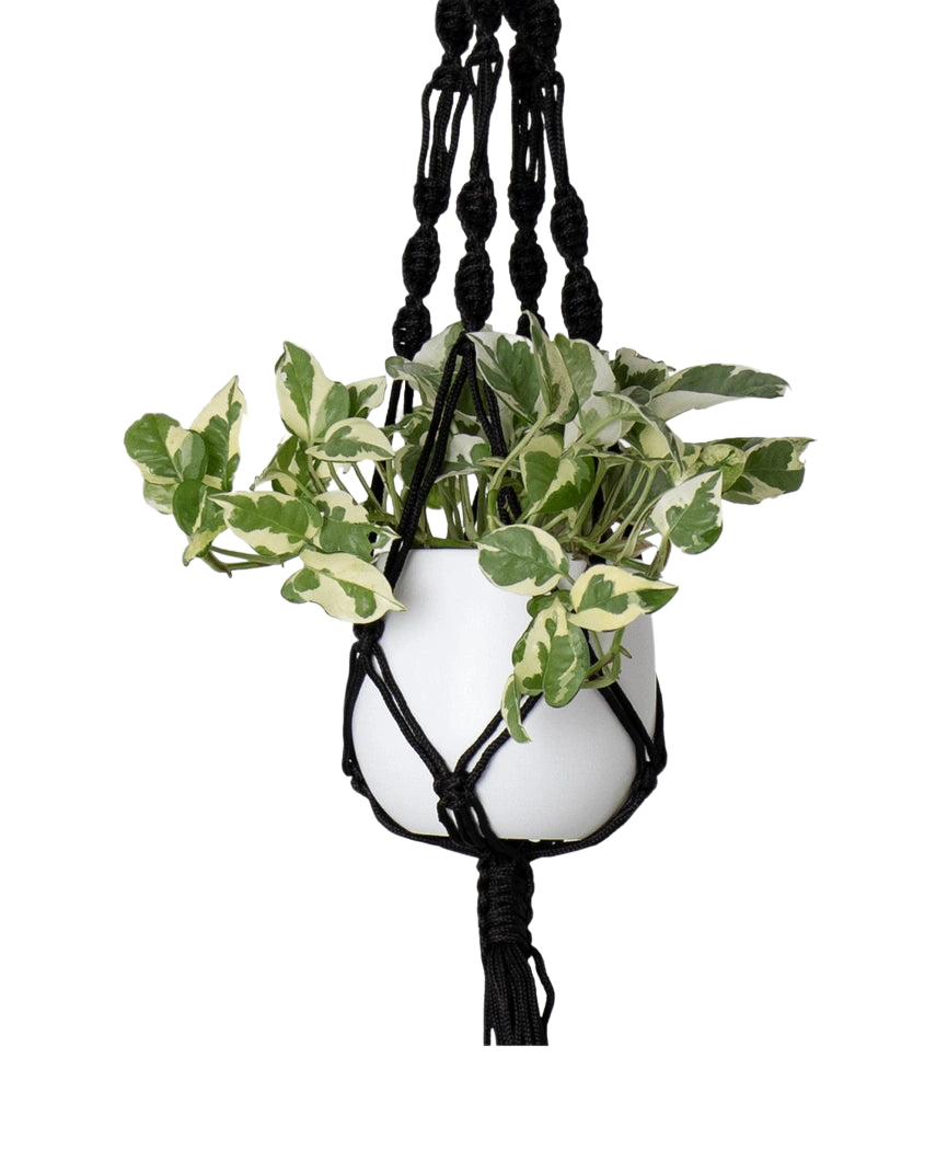 Corde à suspendre macramé simple noeud spirale noir Ø13 x H100 cm