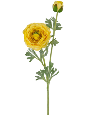 La renoncule artificielle Real Touch jaune 60 cm a une tige unique avec une fleur de renoncule jaune entièrement épanouie, un bourgeon fermé et des feuilles vertes, le tout sur un fond blanc uni.