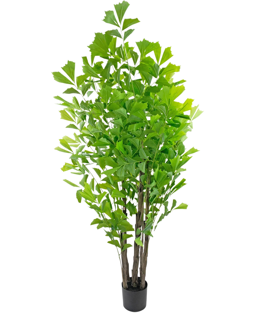 Le palmier queue de poisson artificiel 210 cm est une grande plante artificielle en pot avec de multiples tiges brunes et des feuilles vertes luxuriantes, présentée dans un petit pot noir sur fond blanc.
