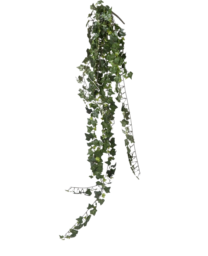 Un seul brin de lierre artificiel suspendu de 125 cm, ignifuge, avec des feuilles vert foncé en forme de cœur, pend sur un fond blanc uni.