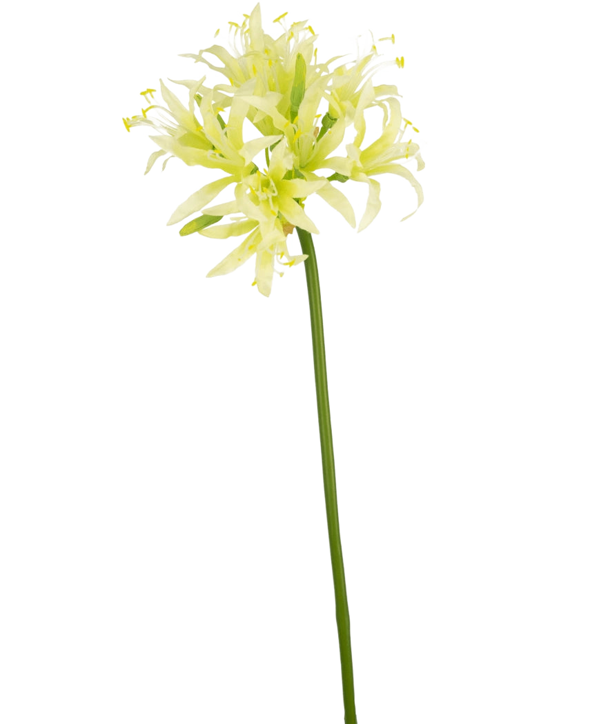 La fleur artificielle Nerine 70 cm verte a une longue tige verte avec de délicates fleurs ressemblant à des lys jaune clair et blanches, parfaites comme élégante fleur en soie dans un vase décoratif sur un fond blanc uni.