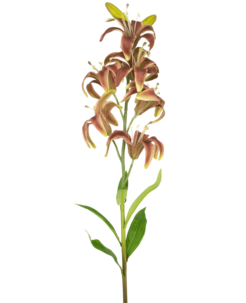 La Fleur Artificielle Lys Martagon 78 cm fuchsia a une seule tige haute avec de multiples fleurs de lys fuchsia et des feuilles vertes, isolées sur un fond blanc.