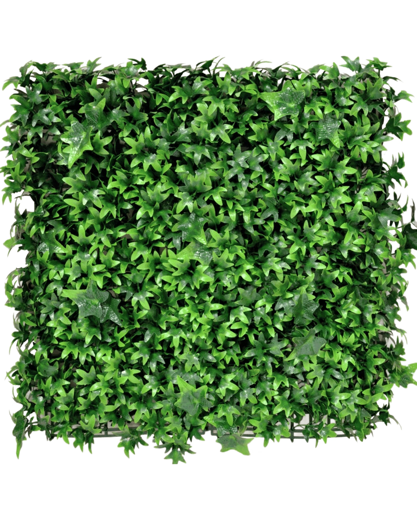 Le Lierre Artificiel 50x50 cm UV est un panneau carré densément recouvert de feuilles de lierre artificiel vert vif, qui donnent un aspect luxuriant et naturel sur n'importe quel fond uni.