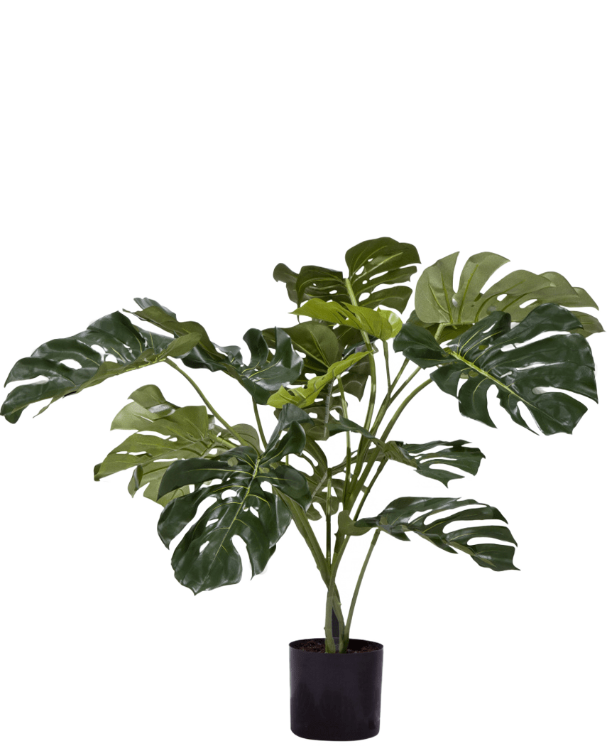 La Plante Artificielle Monstera 85 cm est une plante artificielle aux grandes feuilles vertes brillantes avec des fentes et des trous caractéristiques, présentées dans un simple pot noir sur fond blanc.