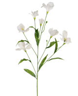 Le Rhododendron Azalée Artificiel Real Touch Blanc 80 cm possède une seule tige verte avec de multiples branches, chacune avec de délicates fleurs blanches et de longues feuilles vertes, le tout sur un fond blanc uni.