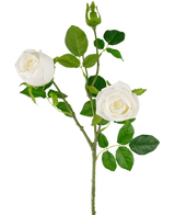 La Branche de Rose Artificielle Real Touch blanche 72cm possède une seule tige avec deux roses blanches épanouies, un bouton de rose et plusieurs feuilles vertes, le tout sur un fond blanc uni.
