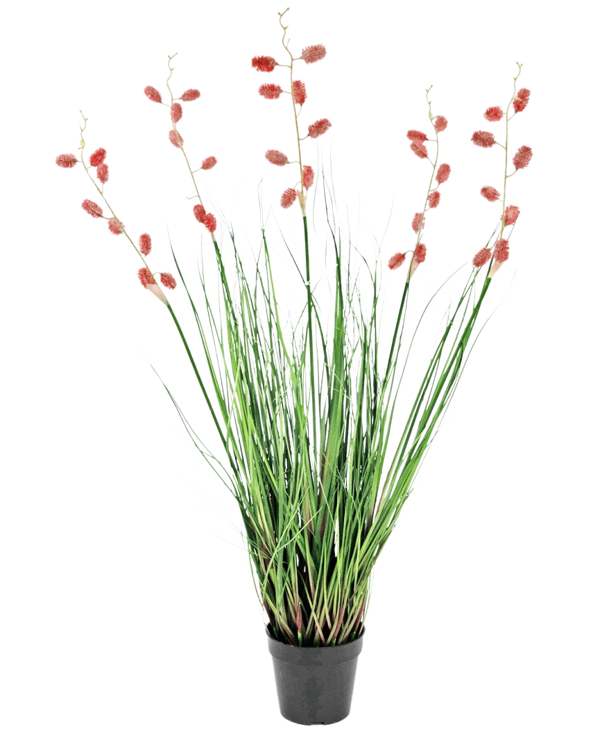 Un gazon artificiel ignifuge de mille-pattes de 100 cm avec de longues et fines feuilles vertes et de hautes tiges avec des panaches rose-rouge, présentées sur un fond blanc.