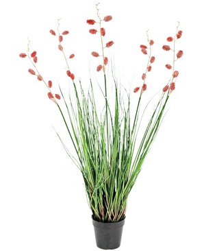 Un gazon artificiel ignifuge de mille-pattes de 100 cm avec de longues et fines feuilles vertes et de hautes tiges avec des panaches rose-rouge, présentées sur un fond blanc.