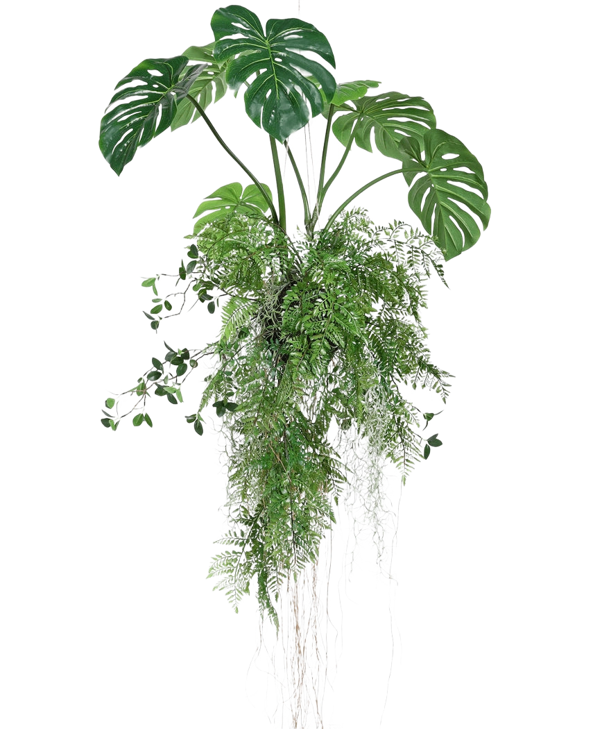 La plante artificielle suspendue Monstera/Fern Ball 100 cm XL présente des feuilles de monstera et des fougères d'un vert luxuriant avec de longues vrilles et racines traînantes, parfaites pour ajouter de la verdure à n'importe quel espace sur un fond blanc.