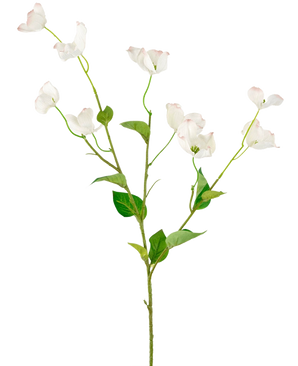 Le Cornouiller Artificiel Real Touch Blanc 74 cm a une seule tige haute avec de multiples branches de délicates fleurs blanches et de feuilles vertes, sur un fond uni clair.