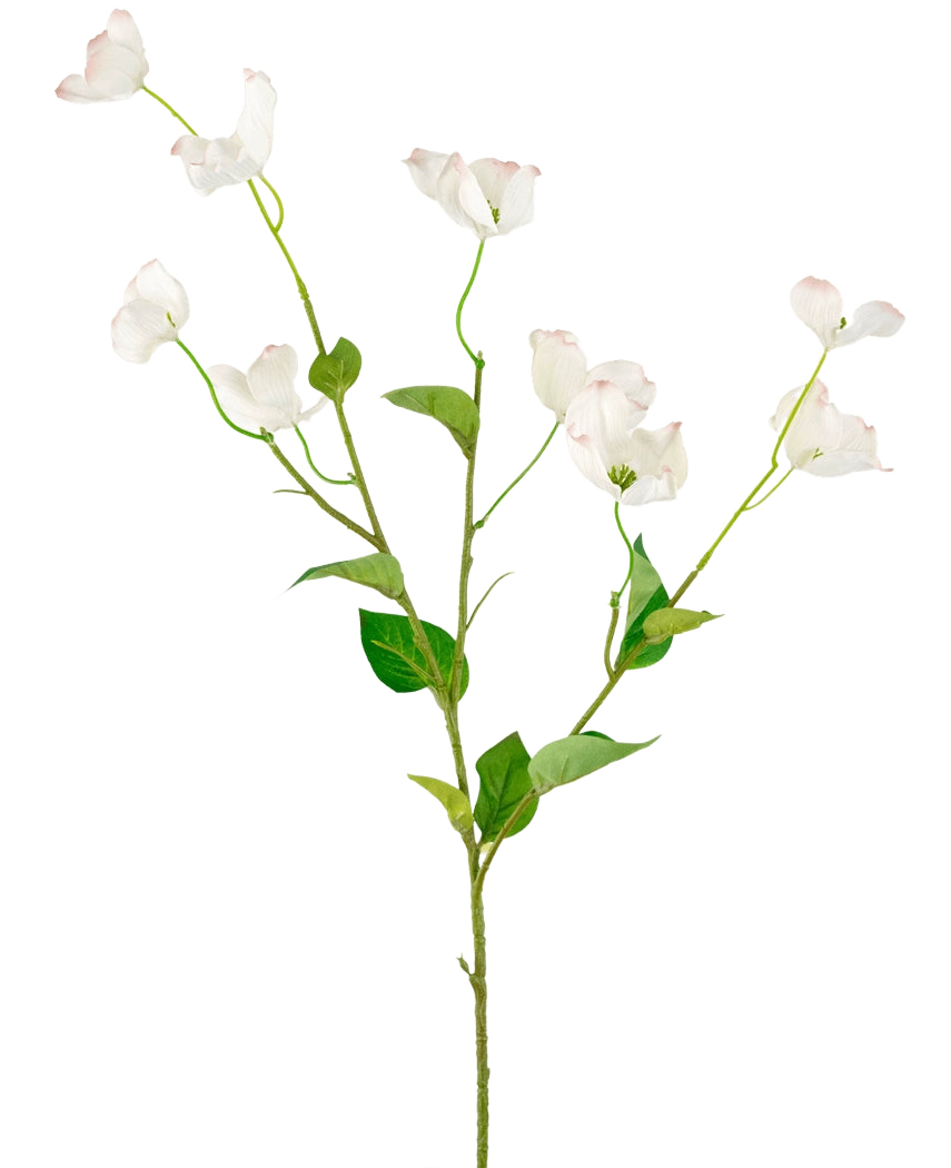 Le Cornouiller Artificiel Real Touch Blanc 74 cm a une seule tige haute avec de multiples branches de délicates fleurs blanches et de feuilles vertes, sur un fond uni clair.
