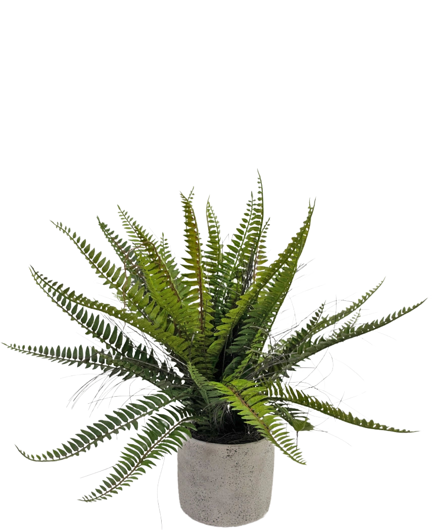 La Fougère de Boston artificielle 48 cm en pot décoratif est une plante de fougère verte réaliste présentée dans un pot décoratif en béton, sur fond blanc.