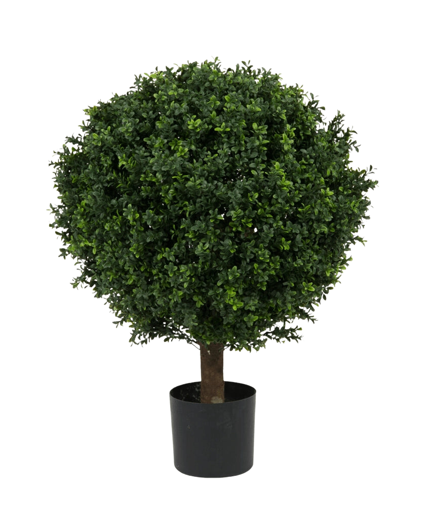 Le Buis Artificiel sur tige style Romain UV 85 cm est un arbre artificiel rond, feuillu, vert, au feuillage dense et au tronc unique, dans un pot simple noir sur fond blanc uni.