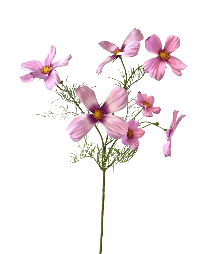 La Fleur Artificielle Cosmos 74 cm rose a une seule tige avec de multiples fleurs cosmos rose clair et de délicates feuilles vertes, joliment mises en valeur sur un fond blanc.