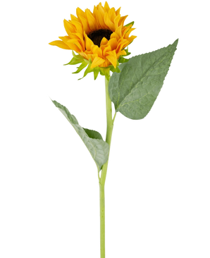 Le tournesol artificiel Real Touch 61 cm possède un seul tournesol artificiel avec des pétales jaune vif, un cœur marron foncé, deux grandes feuilles vertes et une longue tige verte, parfait pour être exposé sur un fond blanc.