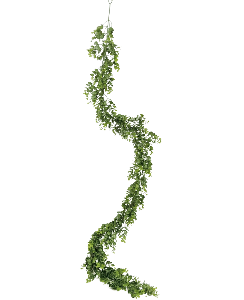 La vigne artificielle Pumila 182 cm possède une longue vigne verte sinueuse avec de petites feuilles, qui pend verticalement sur un fond blanc uni.