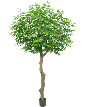 Le Caféier Artificiel 300 cm est un grand arbre artificiel avec un tronc brun élancé et courbé et des feuilles vertes luxuriantes, dans un petit pot noir sur fond blanc.