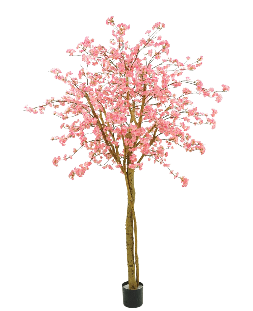 L'arbre cerisier rose artificiel 240 cm a des fleurs roses, des branches marron et un pot noir sur un fond blanc uni.