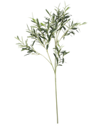 La Feuille d'olivier artificielle 90 cm UV, aux fines feuilles vertes et à la longue tige, se détache sur un fond blanc pour une subtile ambiance méditerranéenne.
