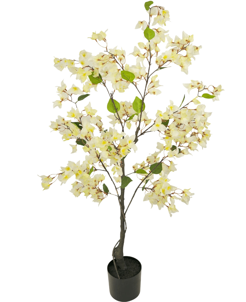 Le Bougainvillier Artificiel 120 cm blanc est un arbre artificiel en pot avec des branches fines, des feuilles vertes et d'abondantes fleurs jaune clair et blanches sur un fond uni blanc.