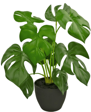 Le Monstera artificiel 40 cm en pot décoratif noir est un Monstera artificiel avec de grandes feuilles vertes brillantes avec des trous et des fissures naturelles, dans un simple pot décoratif noir rempli de terre sombre.