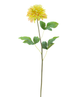 La Fleur Artificielle Dahlia Real Touch Champagne 73 cm présente une fleur de dahlia réaliste de couleur champagne avec des feuilles vertes sur une tige longue et fine sur un fond blanc.
