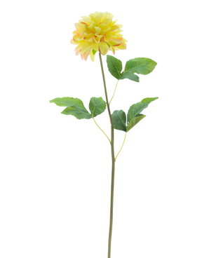 La Fleur Artificielle Dahlia Real Touch Champagne 73 cm présente une fleur de dahlia réaliste de couleur champagne avec des feuilles vertes sur une tige longue et fine sur un fond blanc.