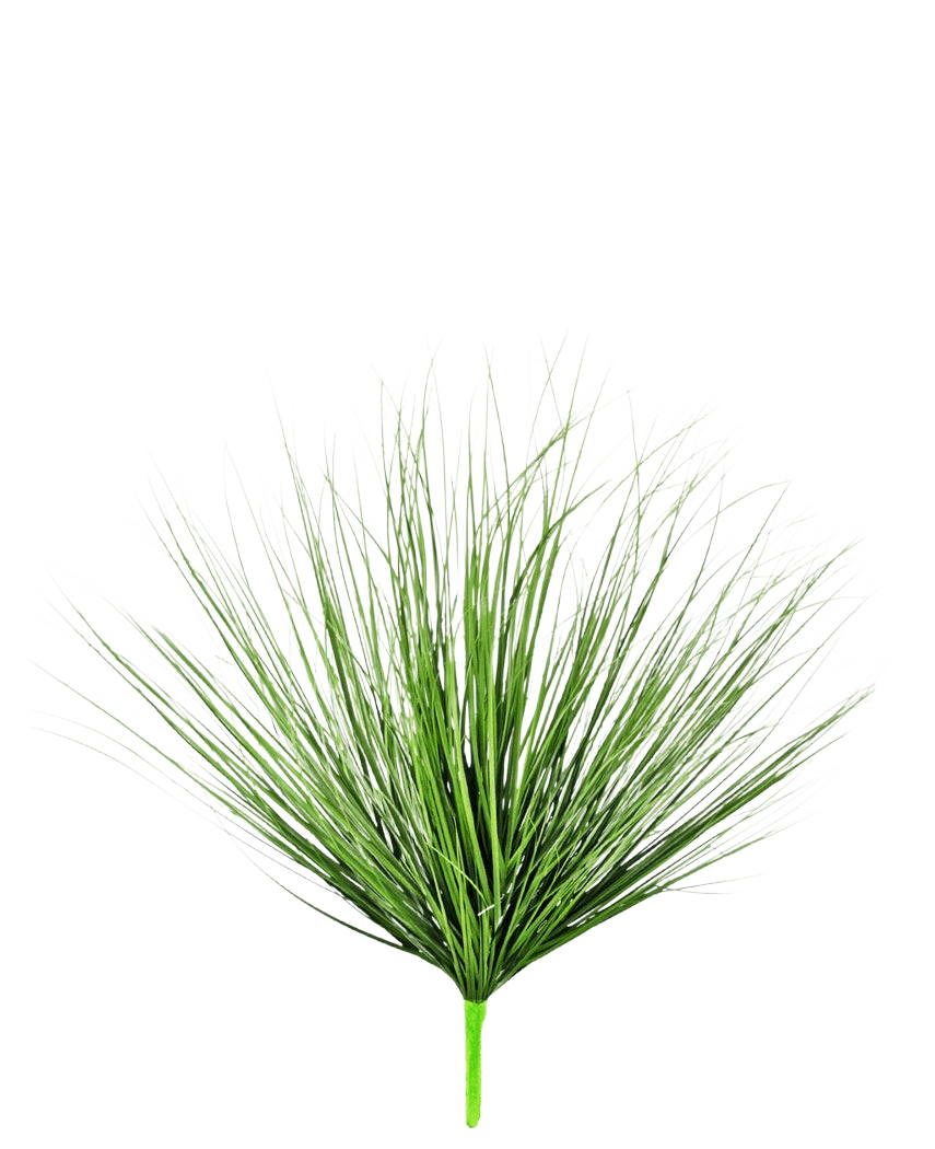 Le gazon artificiel oignon 70 cm ignifuge possède de longues feuilles fines ressemblant à de l'herbe verte qui émergent d'une seule tige, sur un fond blanc uni.