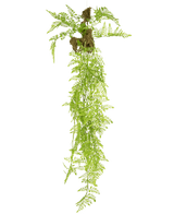 La plante artificielle suspendue Fern Mix Deluxe 100 cm a des feuilles de fougère vertes réalistes et des racines exposées avec des touffes de terre, qui pendent élégamment sur un fond blanc uni.