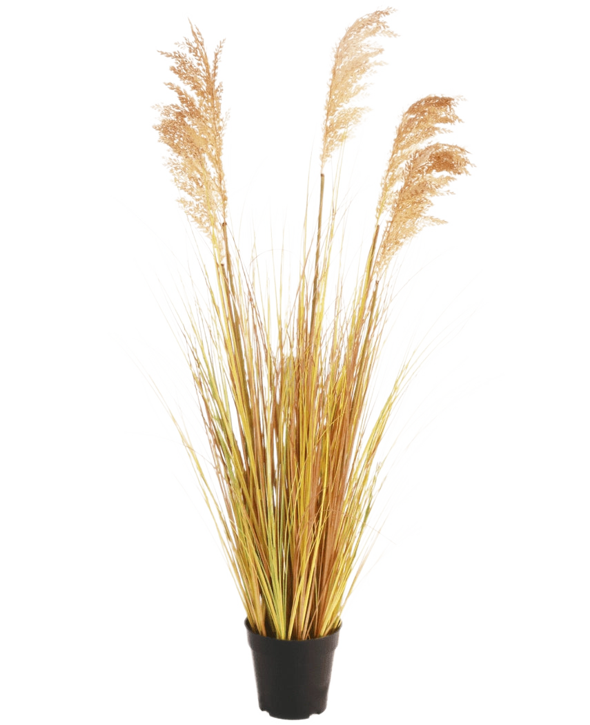 Le gazon artificiel Sorgho 110 cm ignifuge a de longues feuilles jaune-vert et des plumes brunes dans un pot noir - idéal pour donner à votre intérieur bohème une touche élégante sur un fond blanc uni.