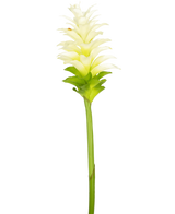 La Fleur Artificielle Curcuma 80 cm est une fleur artificielle unique de curcuma jaune-blanc avec des pétales superposés et une longue tige verte, isolée sur un fond blanc uni.