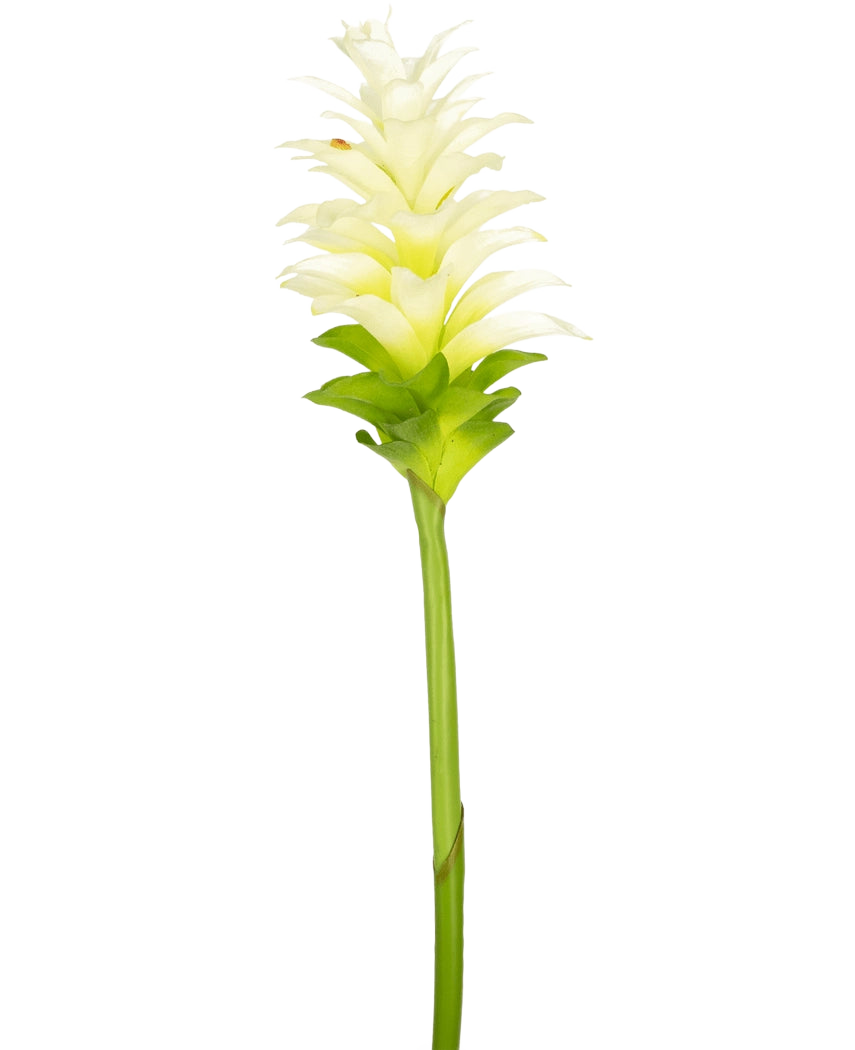 La Fleur Artificielle Curcuma 80 cm est une fleur artificielle unique de curcuma jaune-blanc avec des pétales superposés et une longue tige verte, isolée sur un fond blanc uni.