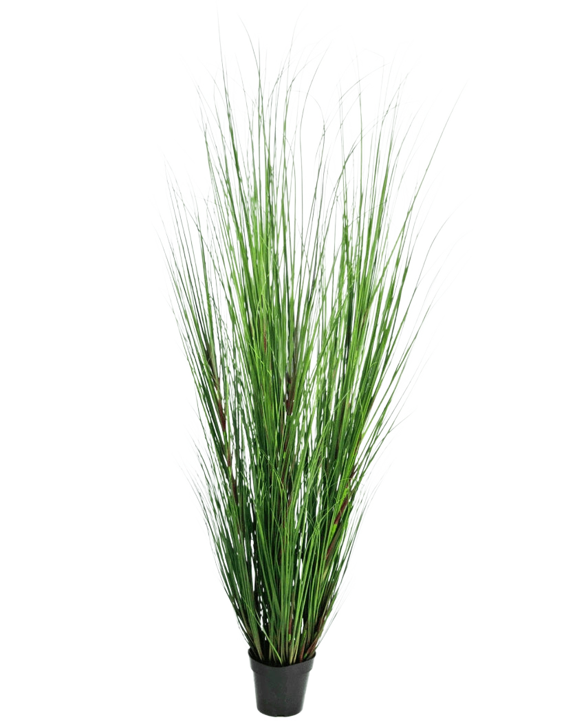Le gazon artificiel Oignon 170 cm est un gazon artificiel haut et ignifuge avec de longues et fines lames vertes dans un pot noir compact, représenté sur un fond blanc uni.