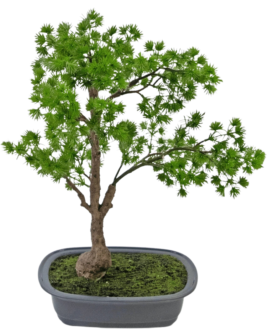 La plante artificielle Bonsaï Genévrier 40 cm a un tronc élancé et des feuilles vertes luxuriantes et est placée dans un pot gris rectangulaire peu profond avec de la mousse. Le fond est blanc uni.