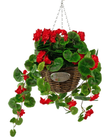 Le bégonia artificiel rouge dans un panier UV de 70 cm présente des bégonias artificiels rouges vifs et des feuilles vertes luxuriantes dans un panier tressé avec des tiges sinueuses, suspendu à une chaîne en métal et terminé par une petite plaque ovale indiquant « Fleurs ».