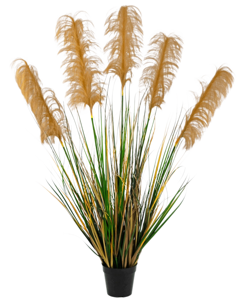 L'herbe de pampa artificielle 120 cm ignifuge a de hautes feuilles vertes et jaunes ressemblant à de l'herbe avec des panaches bruns duveteux. Cette plante artificielle élégante et ignifuge ajoute de la sophistication à toute collection de fausses plantes sur fond blanc.