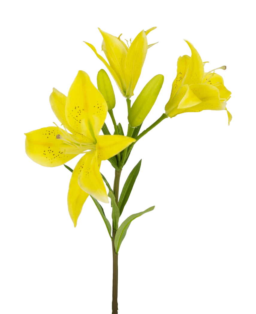 La Fleur Artificielle Lys Asiatique 66 cm jaune a une tige avec de multiples lys jaunes en fleurs et des bourgeons non ouverts, des pétales pointus avec des taches sombres au centre et des feuilles vertes, le tout sur un fond blanc.