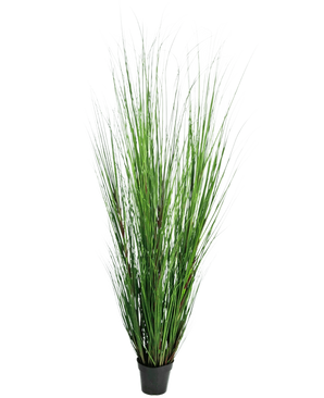 Le gazon artificiel Oignon 170 cm est un gazon artificiel haut et ignifuge avec de longues et fines lames vertes dans un pot noir compact, représenté sur un fond blanc uni.