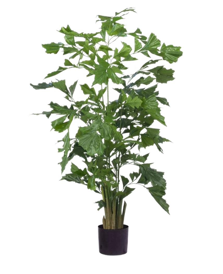 De Kunstplant Fishtail Palm 160 cm heeft meerdere slanke stelen met groene, gekartelde bladeren in een strakke zwarte pot. Hij is ideaal als kunstpalm, voegt een stijlvol accent toe aan elk modern interieur en steekt af tegen elke achtergrond.