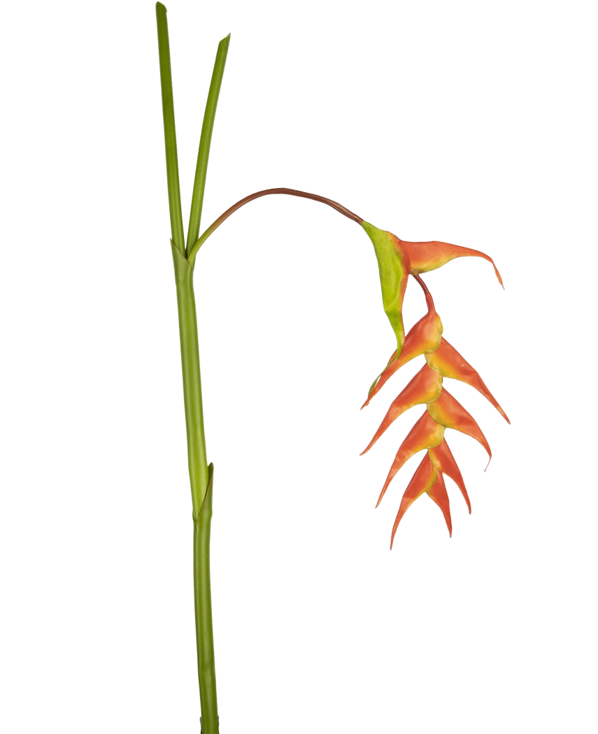 Une seule fleur artificielle Heliconia de 120 cm rouge avec des bractées rouges frappantes et une tige verte, isolée sur fond blanc.