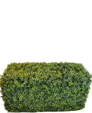 La Haie Artificielle Buis Style Romain (90 x 35 x 50 cm) est une haie verte dense et rectangulaire avec de petites feuilles, isolée sur fond blanc.
