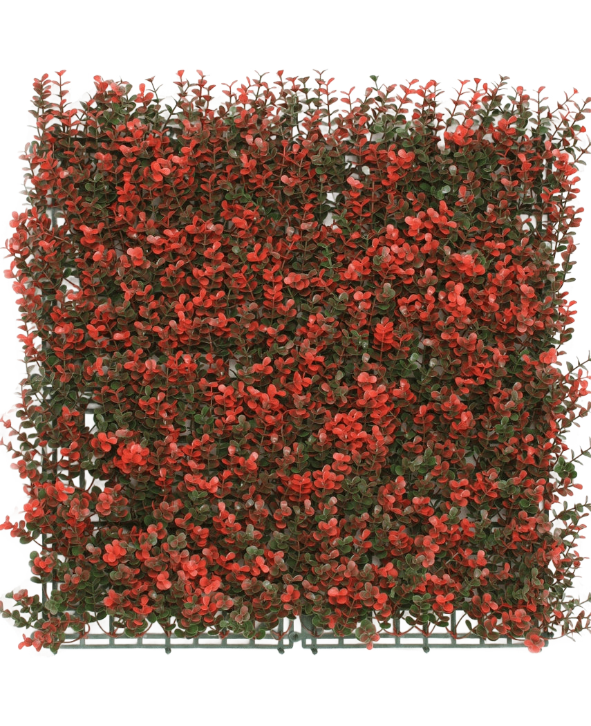 La Haie Artificielle Buis rouge 50x50 cm UV est un panneau vert artificiel carré avec de petites feuilles vertes denses et des grappes de fleurs rouges, idéal pour la décoration ou l'intimité.